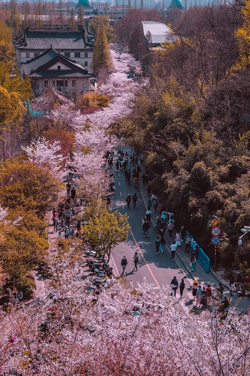 1665712408975233.jpg 1.jpg